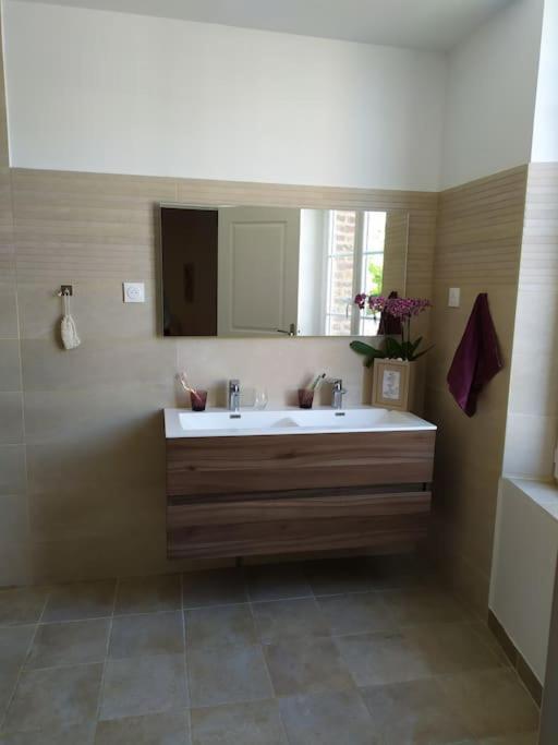Maison De Charme Proche Gare Et Centre Ville Gaillac Luaran gambar